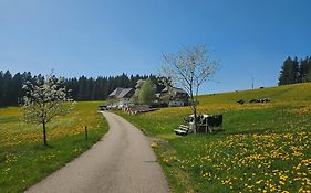 Lorenzenhaeusle Titisee-Neustadt