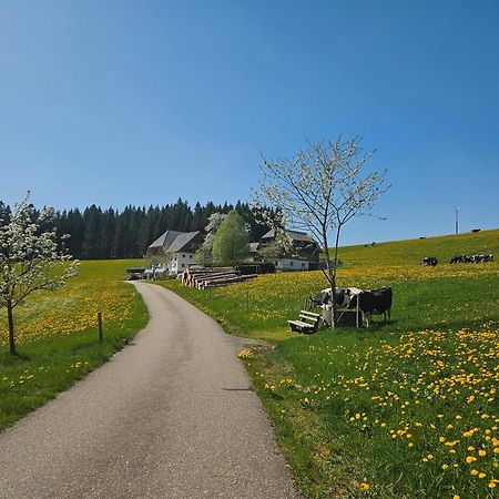 Lorenzenhaeusle Titisee-Neustadt Buitenkant foto