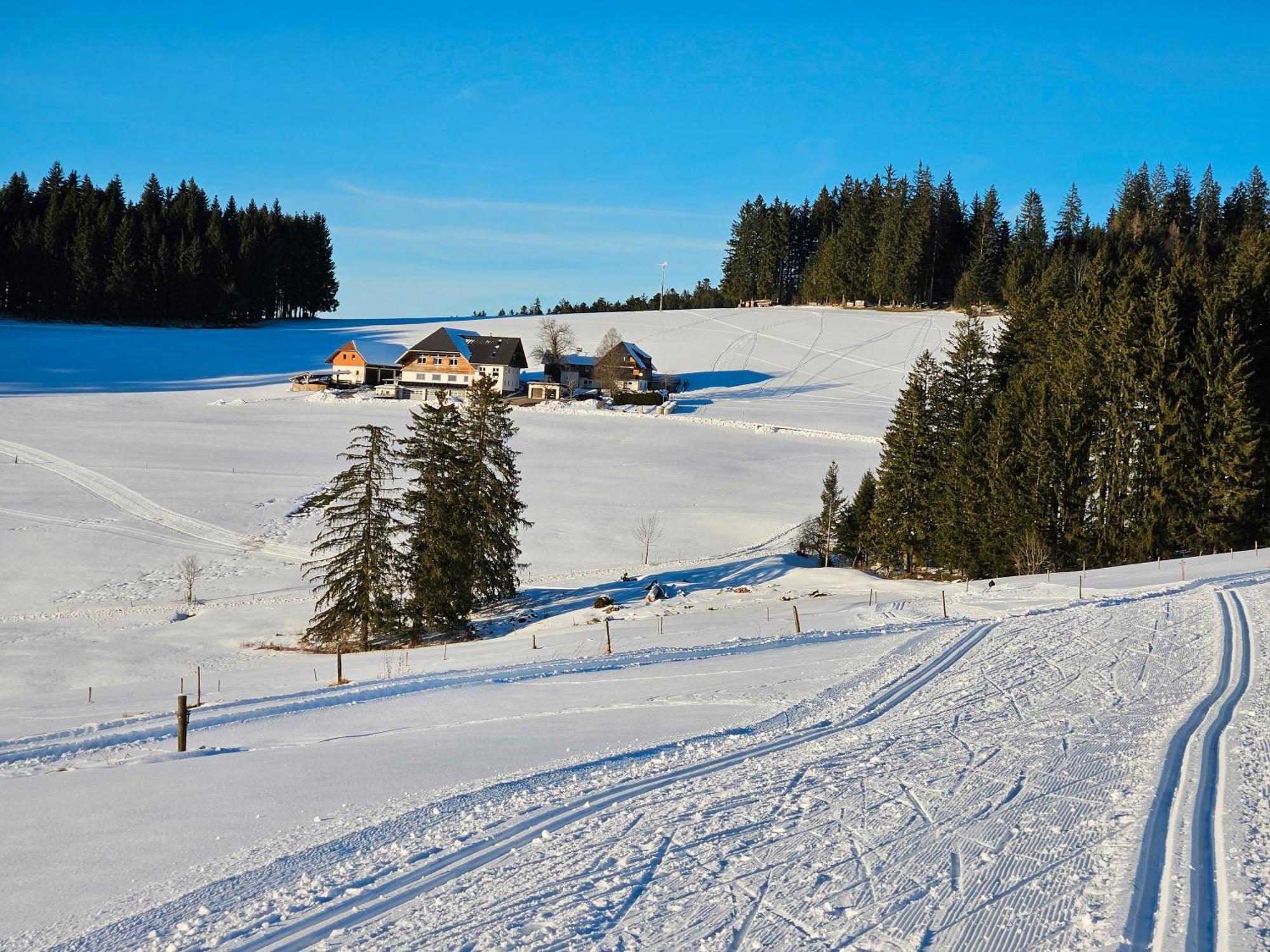 Lorenzenhaeusle Titisee-Neustadt Buitenkant foto