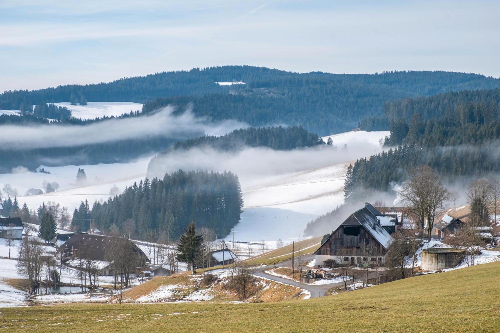 Lorenzenhaeusle Titisee-Neustadt Buitenkant foto