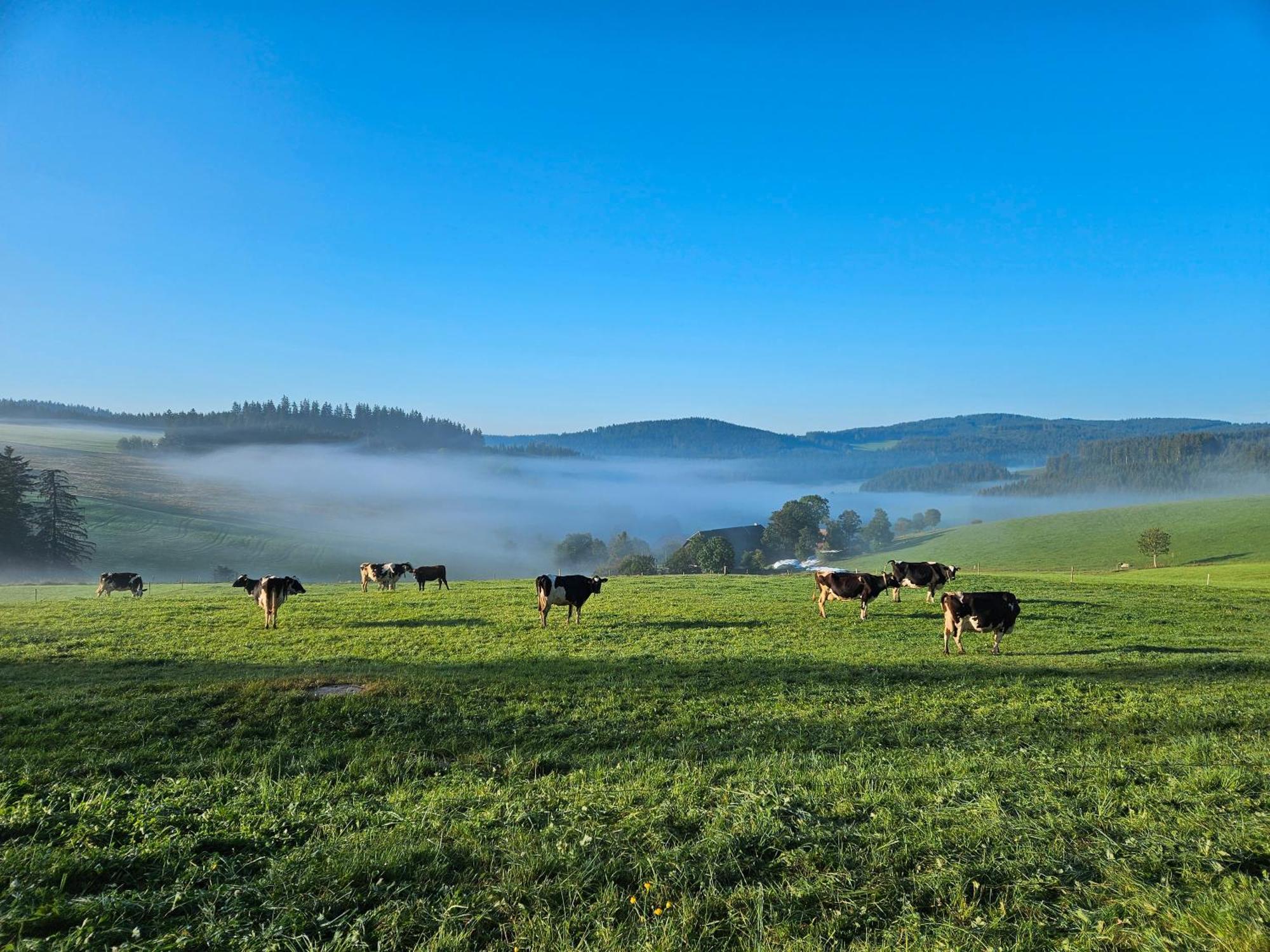 Lorenzenhaeusle Titisee-Neustadt Buitenkant foto